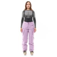 Dragonfly Штаны горнолыжные утепленные Gravity 2025 Woman Purple в Саратове